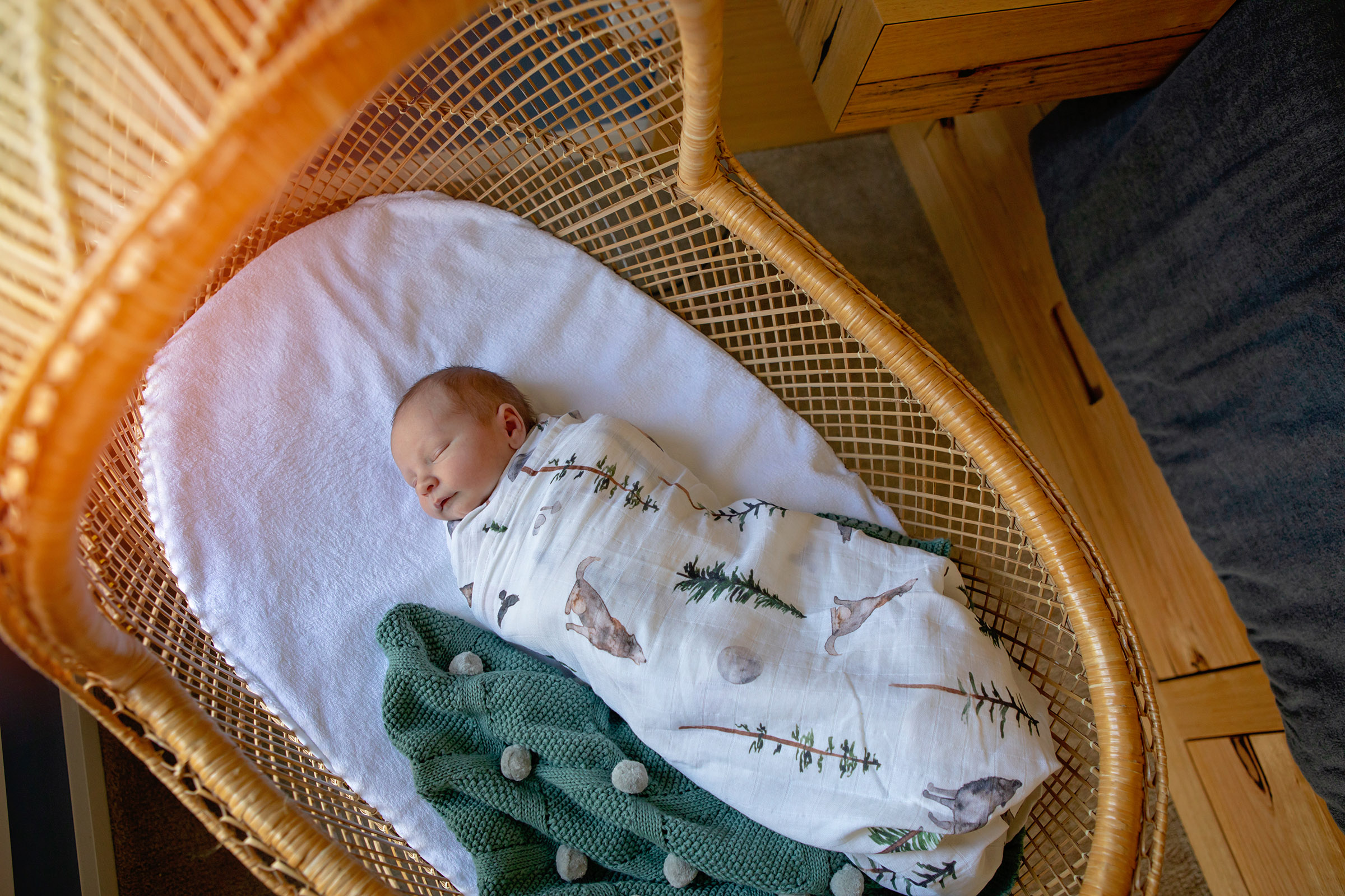 Newborn baby sleeping in a bassinet during a lifestyle portrait session in a nursery